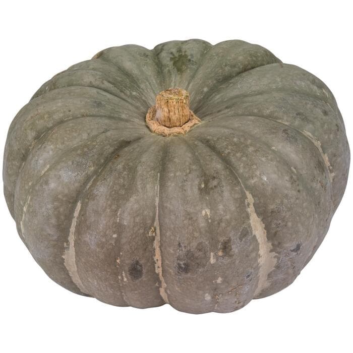 Potiron (Bio)