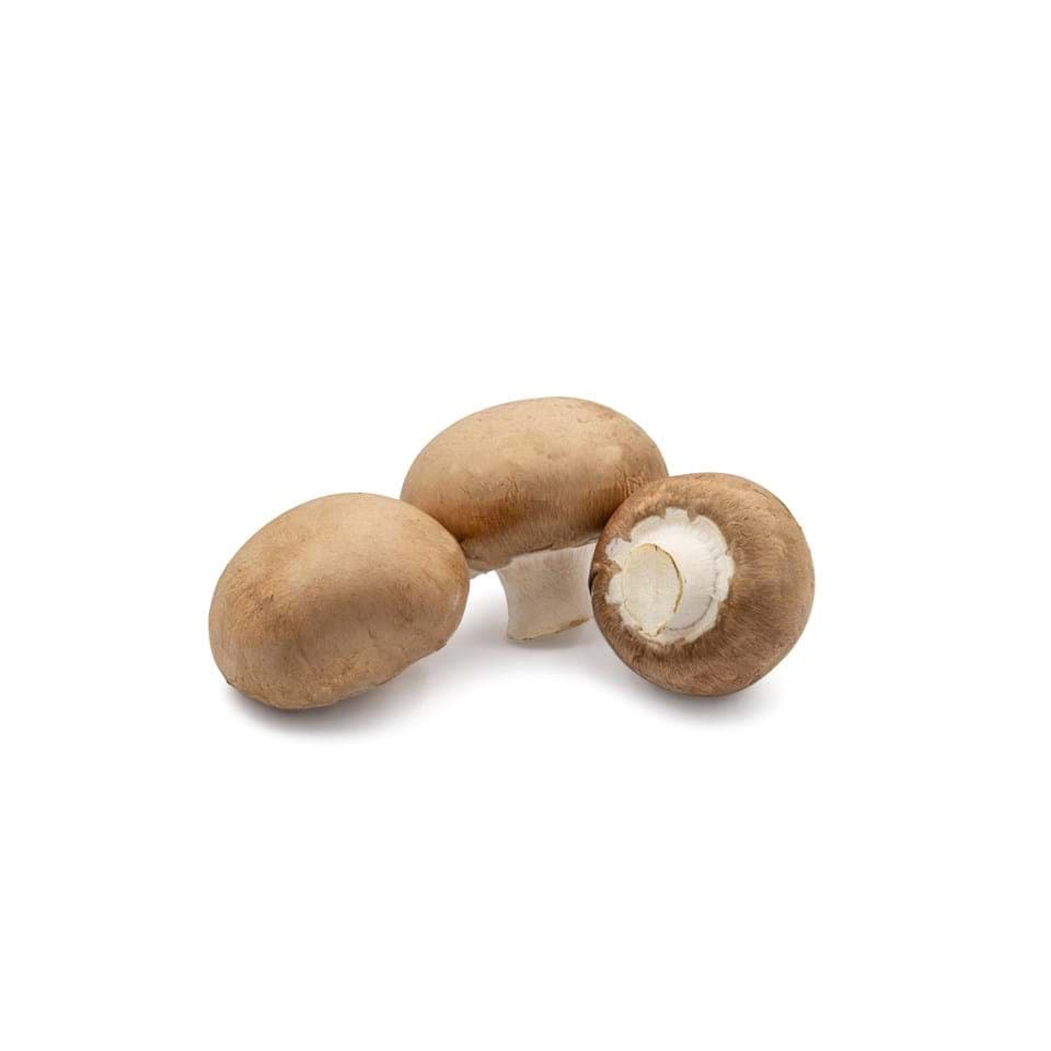 Champignon marron