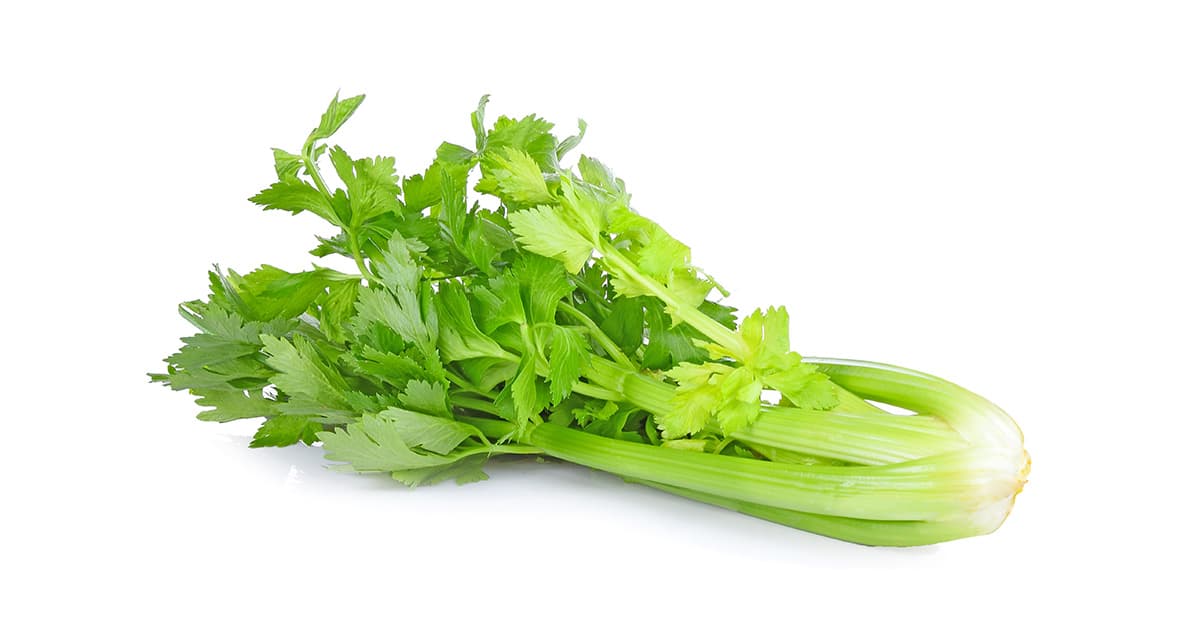 Celeri