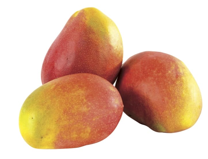 Mangue Import