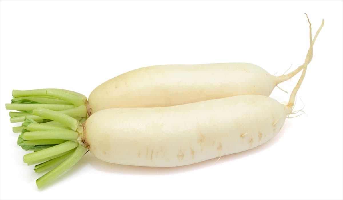 Navet Blanc