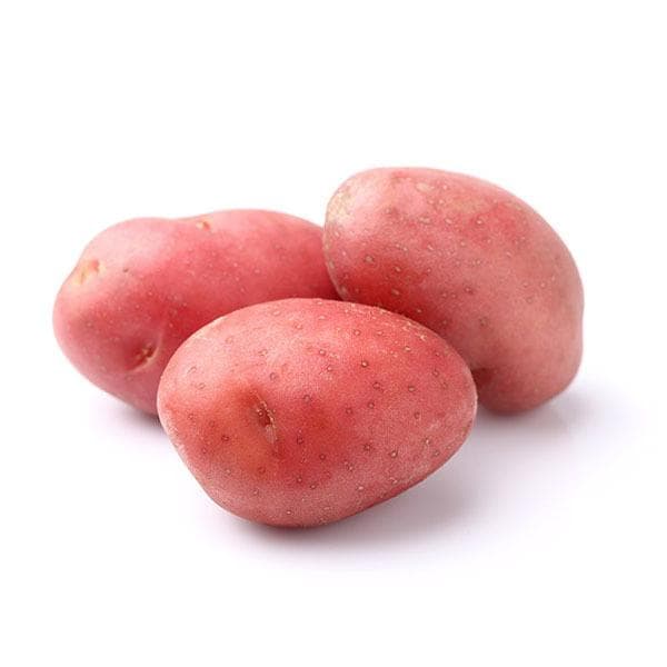 Pomme De Terre Rouge